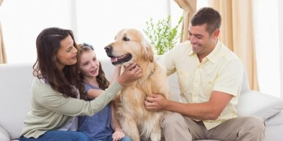 La importancia de las cerraduras de seguridad para los dueños de mascotas