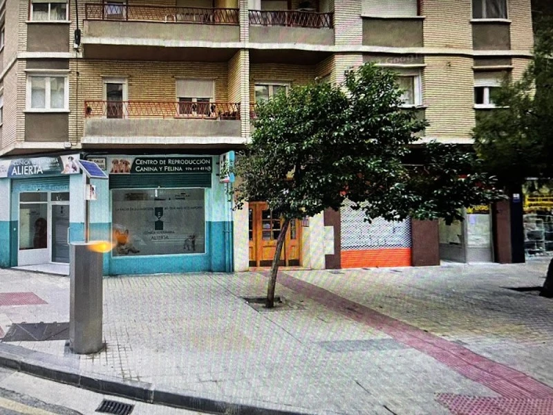 Cerrajeros en Zaragoza - DMG