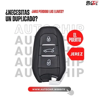 Autochip El Puerto