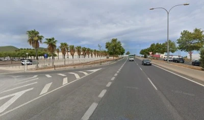 Vinyes
